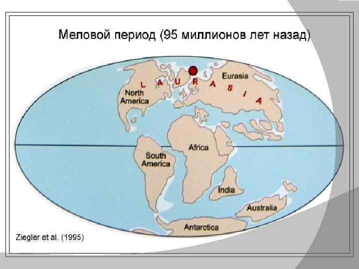 Сколько миллионов лет. Карта земли в меловой период. Меловой период карта материков. Карта земли 65 млн лет назад. Карта мира в меловой период.